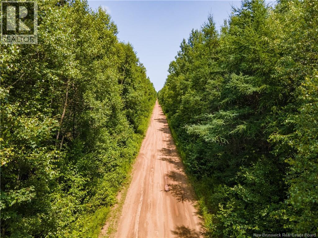 Lot 53 Alexandrina Road, Notre-Dame, New Brunswick  E4H 2H5 - Photo 8 - NB137652