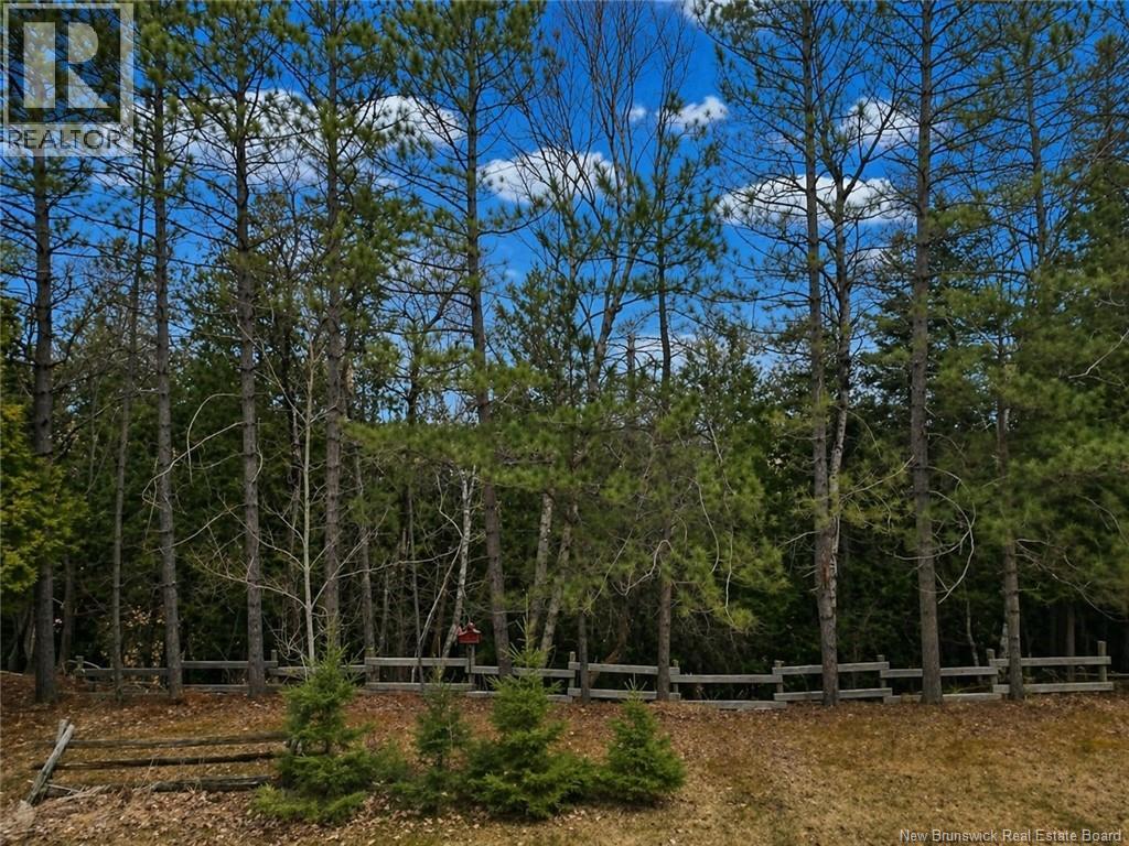 184 Main Street, Plaster Rock, New Brunswick  E7G 2E3 - Photo 10 - NB137724