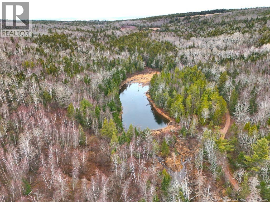 Lot Shaw Road, Shenstone, New Brunswick  E4H 4H7 - Photo 1 - NB137759
