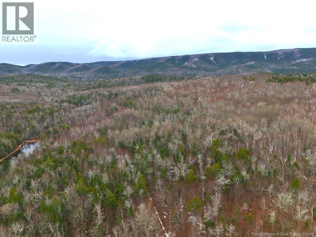 Lot Shaw Road, Shenstone, New Brunswick  E4H 4H7 - Photo 2 - NB137759