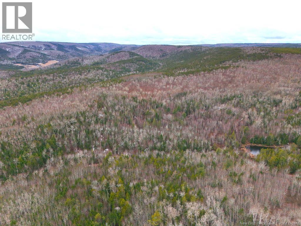 Lot Shaw Road, Shenstone, New Brunswick  E4H 4H7 - Photo 3 - NB137759