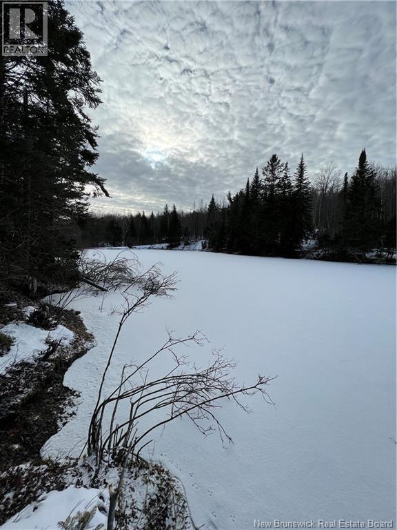 Lot Shaw Road, Shenstone, New Brunswick  E4H 4H7 - Photo 6 - NB137759