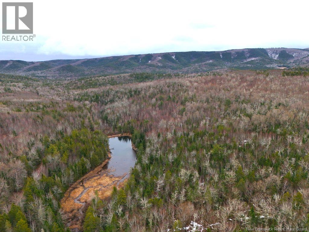 Lot Shaw Road, Shenstone, New Brunswick  E4H 4H7 - Photo 7 - NB137759