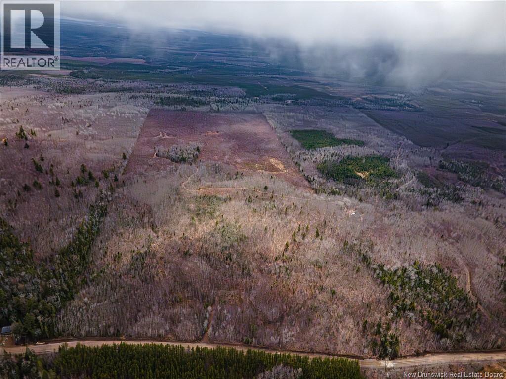 Lot 2 South Canaan Road, South Canaan, New Brunswick  E4Z 3R7 - Photo 10 - NB137600