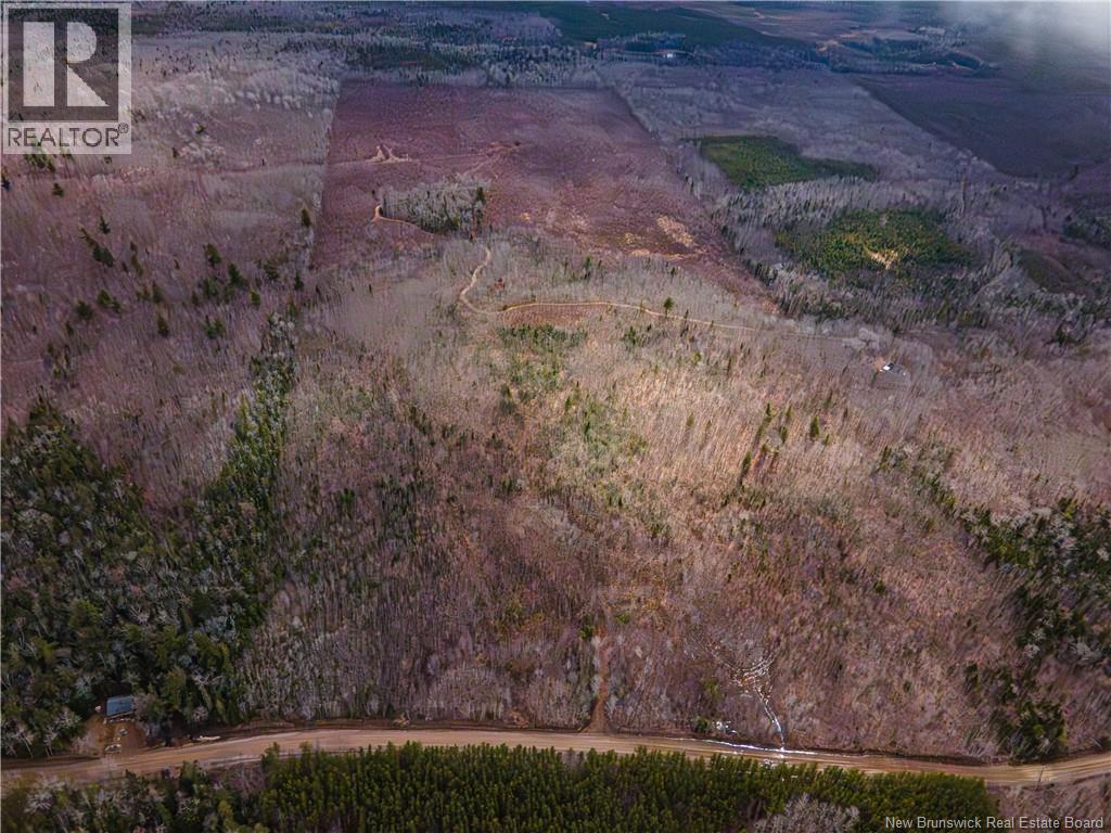 Lot 2 South Canaan Road, South Canaan, New Brunswick  E4Z 3R7 - Photo 11 - NB137600