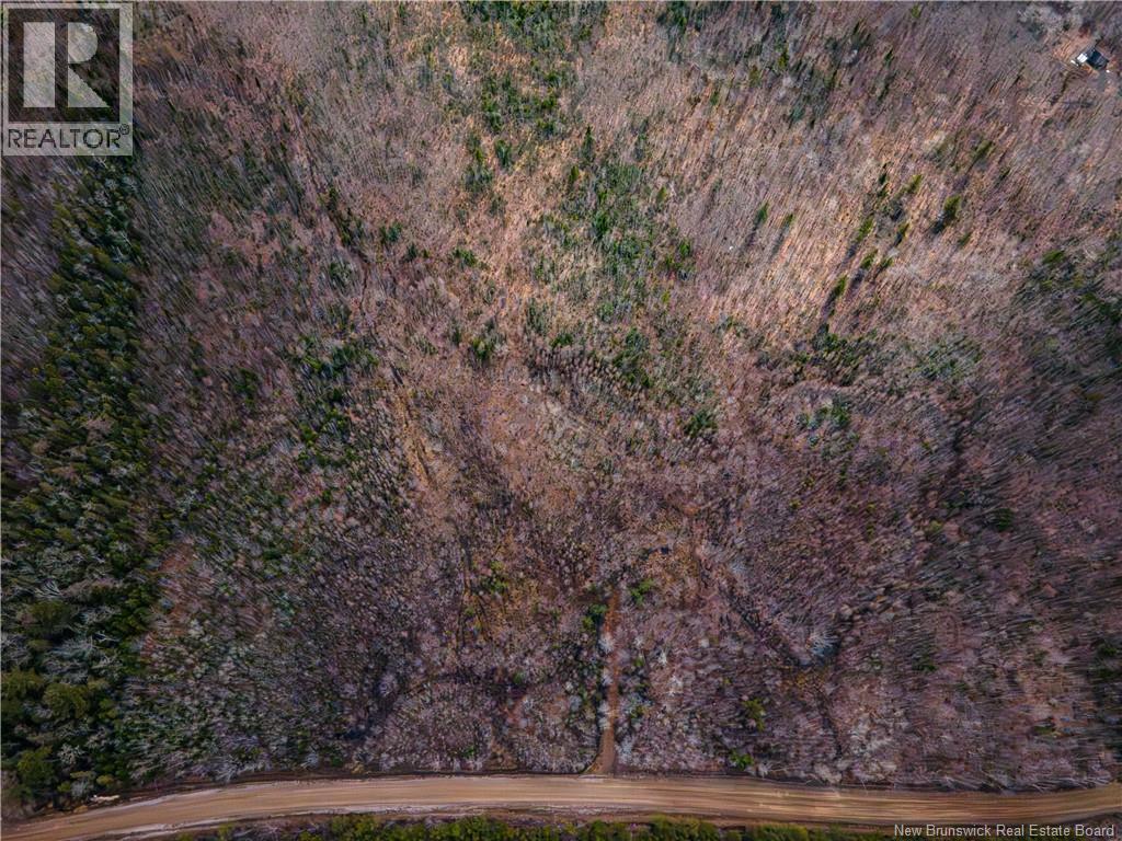 Lot 2 South Canaan Road, South Canaan, New Brunswick  E4Z 3R7 - Photo 2 - NB137600