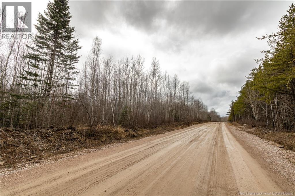 Lot 2 South Canaan Road, South Canaan, New Brunswick  E4Z 3R7 - Photo 3 - NB137600