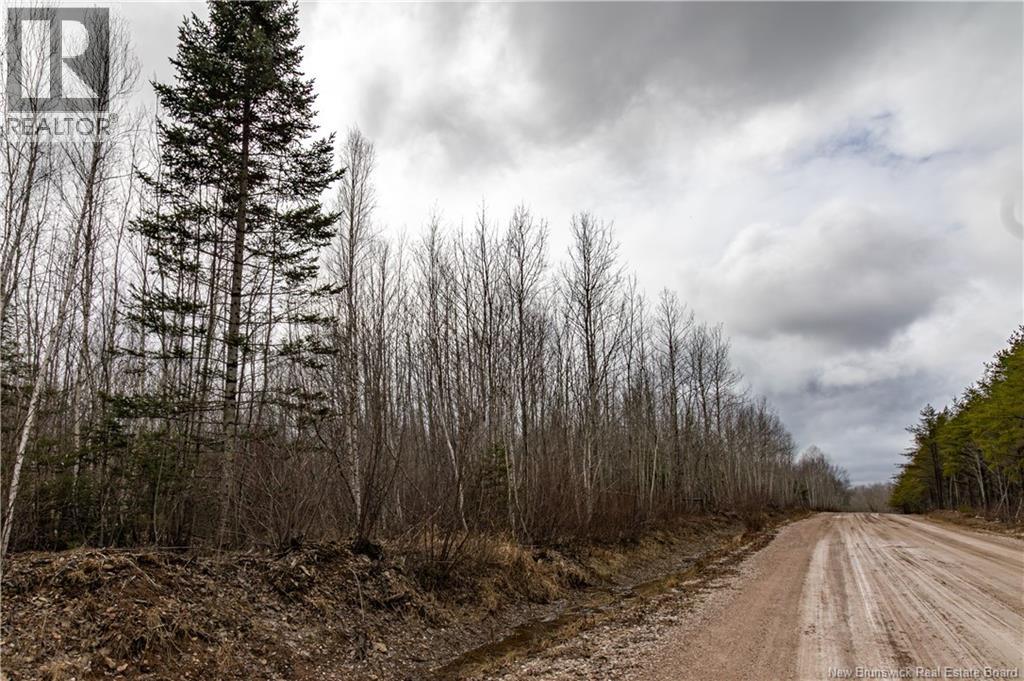 Lot 2 South Canaan Road, South Canaan, New Brunswick  E4Z 3R7 - Photo 4 - NB137600