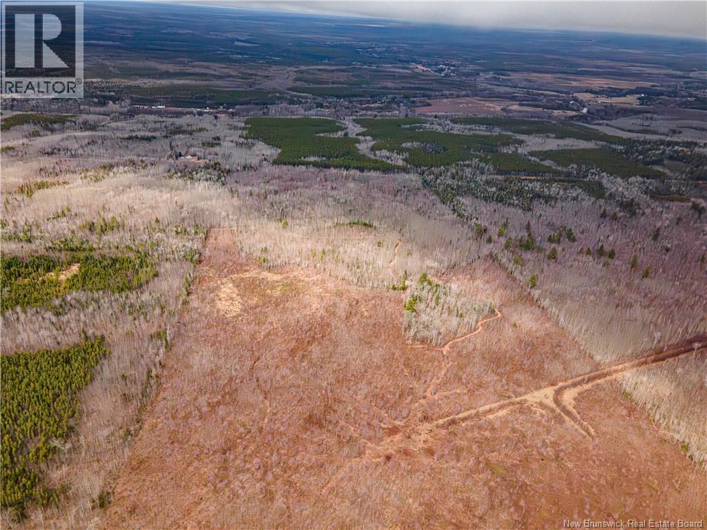 Lot 2 South Canaan Road, South Canaan, New Brunswick  E4Z 3R7 - Photo 5 - NB137600