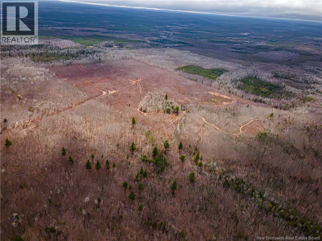 Lot 2 South Canaan Road, South Canaan, New Brunswick  E4Z 3R7 - Photo 6 - NB137600