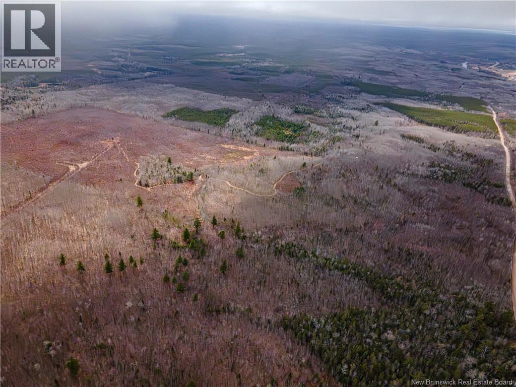 Lot 2 South Canaan Road, South Canaan, New Brunswick  E4Z 3R7 - Photo 7 - NB137600