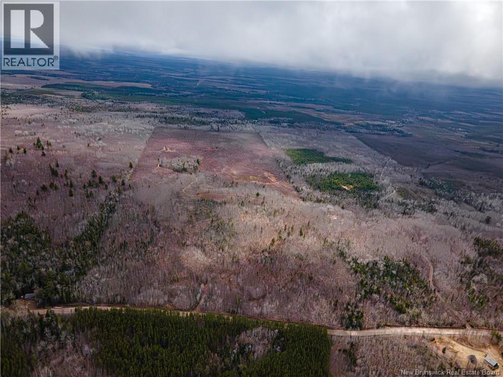 Lot 2 South Canaan Road, South Canaan, New Brunswick  E4Z 3R7 - Photo 8 - NB137600