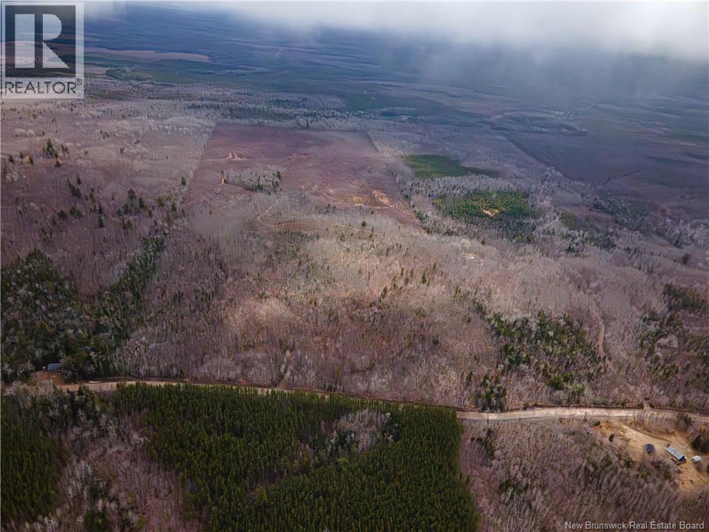 Lot 2 South Canaan Road, South Canaan, New Brunswick  E4Z 3R7 - Photo 9 - NB137600