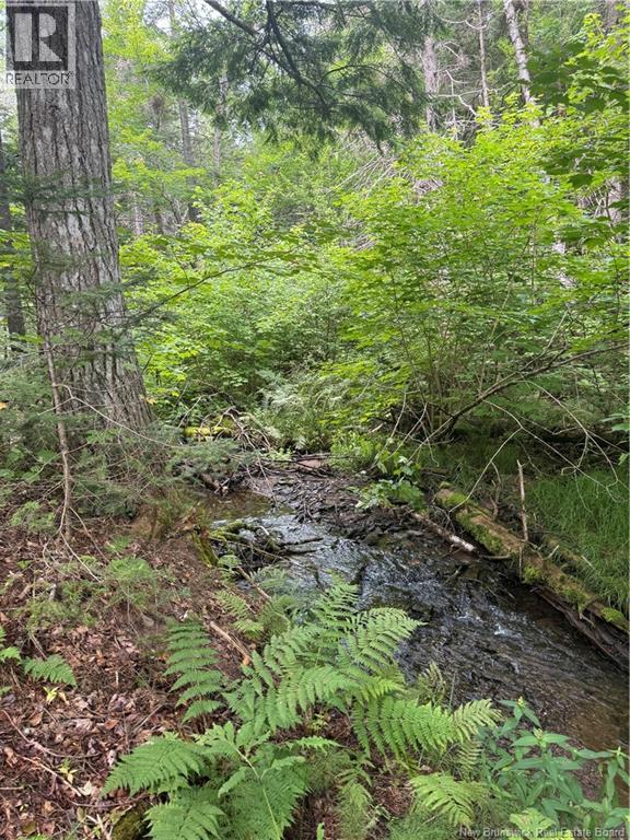 Lot Des Gallant, Saint-Ignace, New Brunswick  E4X 2E3 - Photo 8 - NB134787