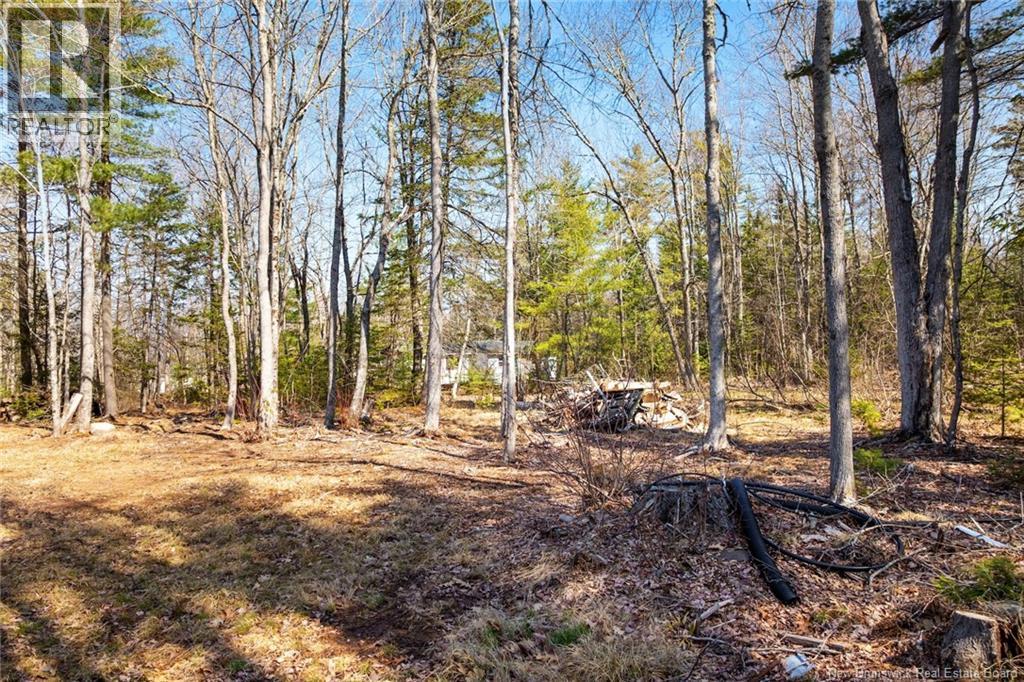 42 Gordon Shore Road, Whites Cove, New Brunswick  E4C 3A7 - Photo 35 - NB137775