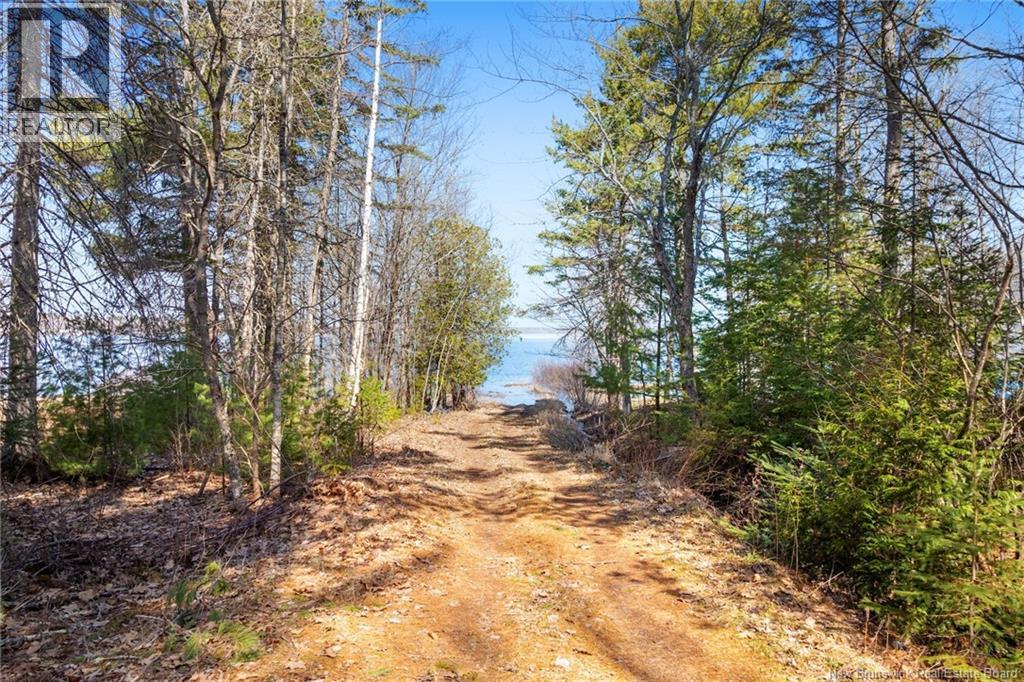 42 Gordon Shore Road, Whites Cove, New Brunswick  E4C 3A7 - Photo 41 - NB137775