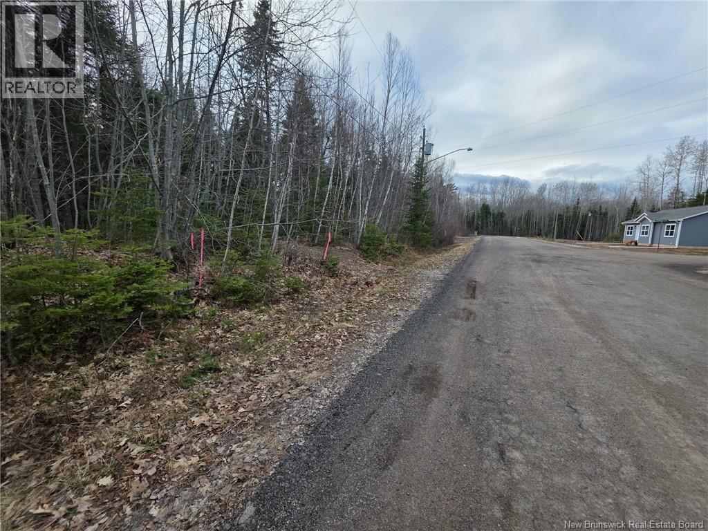26 Deepwood Avenue, Salisbury, New Brunswick  E4J 2B3 - Photo 2 - NB137845