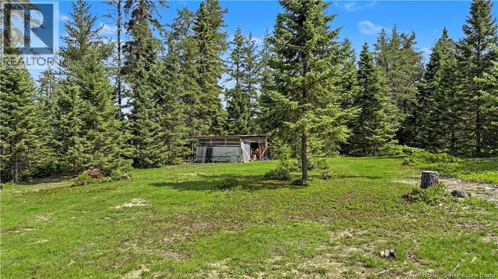 194 Meadow Brook Road, Cains River, New Brunswick  E9B 0E6 - Photo 29 - NB137576