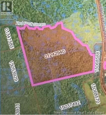 0 Vacant Land Route 785 Mcdougall Lake, Mcdougall Lake, New Brunswick  E6B 2C5 - Photo 1 - NB137919