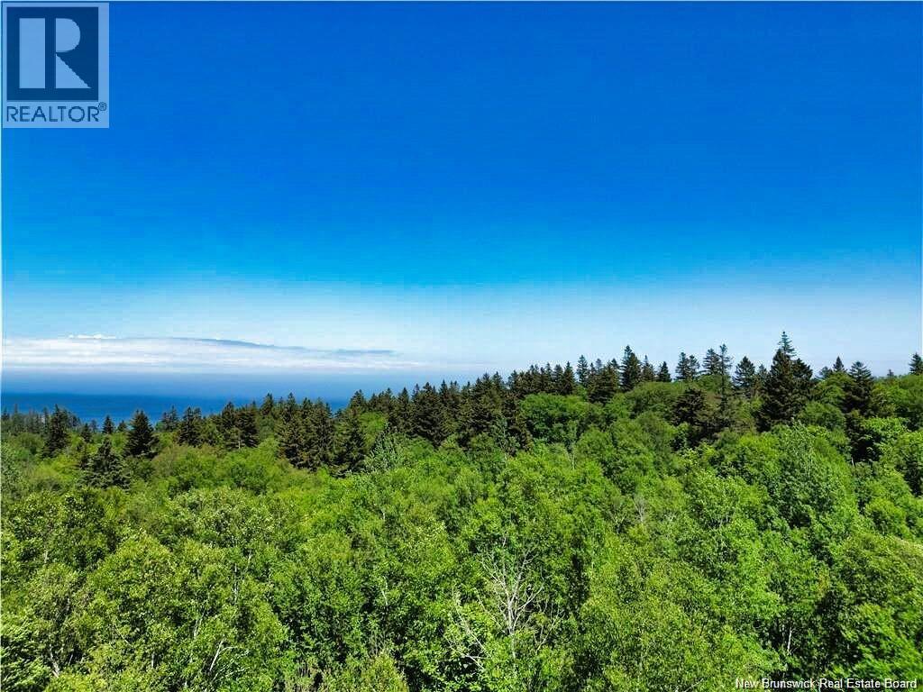 Lot 86-312 Fundy Drive, Wilsons Beach, New Brunswick  E5E 1X4 - Photo 5 - NB137762