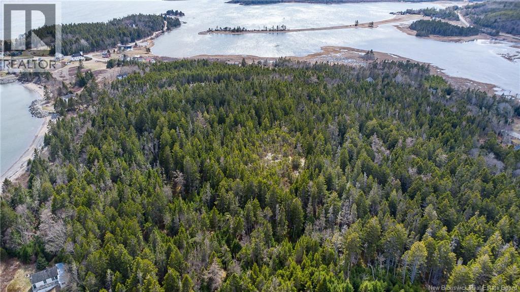 Chance Harbour Road, Chance Harbour, New Brunswick  E5J 1Z1 - Photo 11 - NB137847