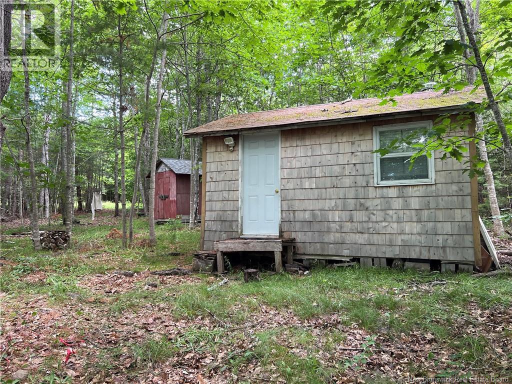 Vacant Lot Lakeview Road, Washademoak, New Brunswick  E4C 2L6 - Photo 11 - NB137767