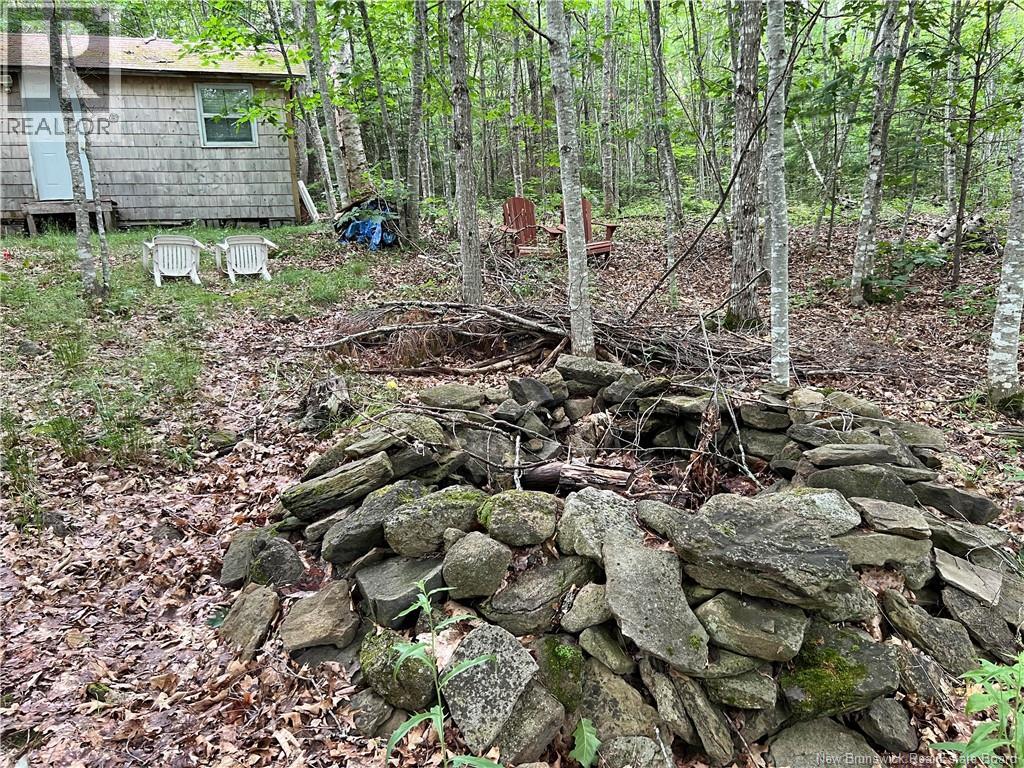 Vacant Lot Lakeview Road, Washademoak, New Brunswick  E4C 2L6 - Photo 13 - NB137767