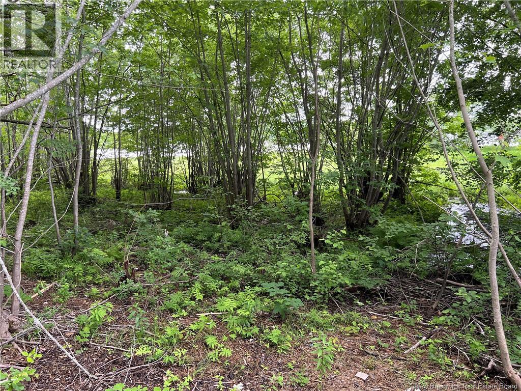 Vacant Lot Lakeview Road, Washademoak, New Brunswick  E4C 2L6 - Photo 14 - NB137767