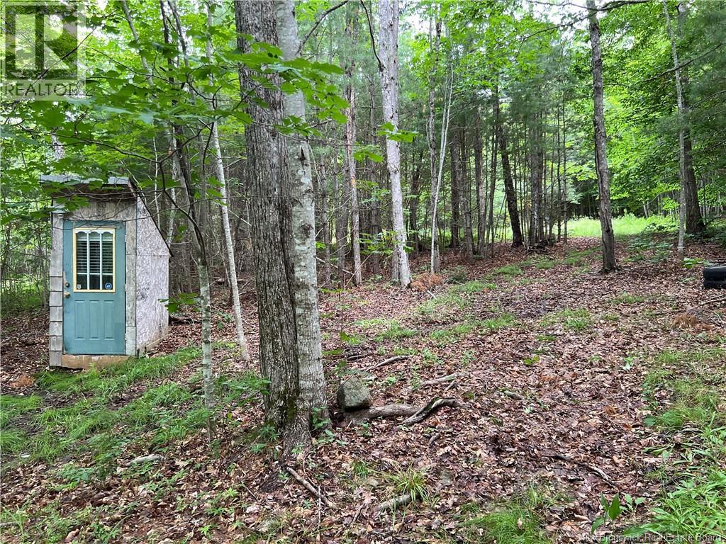 Vacant Lot Lakeview Road, Washademoak, New Brunswick  E4C 2L6 - Photo 19 - NB137767
