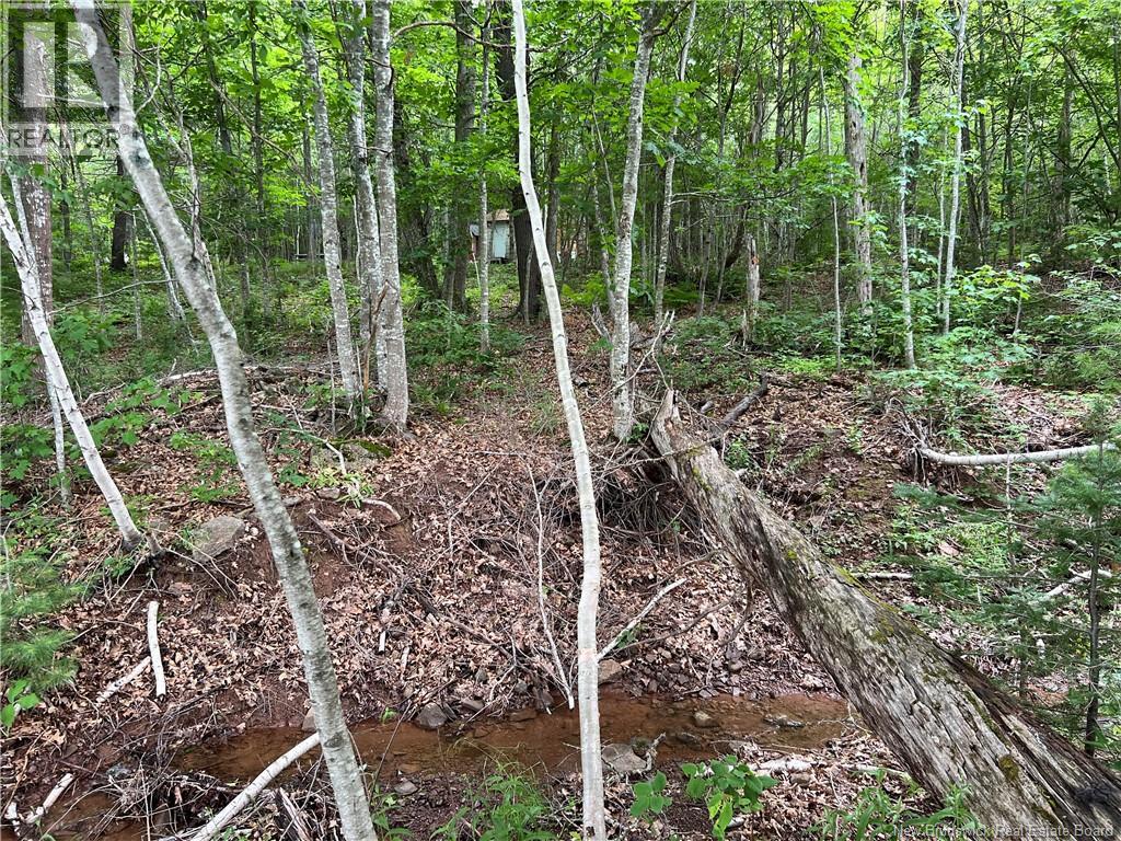 Vacant Lot Lakeview Road, Washademoak, New Brunswick  E4C 2L6 - Photo 25 - NB137767