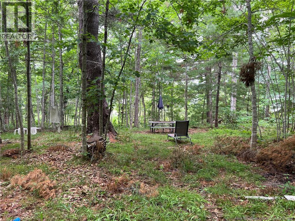 Vacant Lot Lakeview Road, Washademoak, New Brunswick  E4C 2L6 - Photo 26 - NB137767