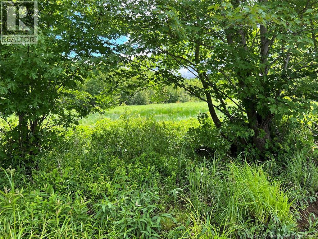 Vacant Lot Lakeview Road, Washademoak, New Brunswick  E4C 2L6 - Photo 27 - NB137767