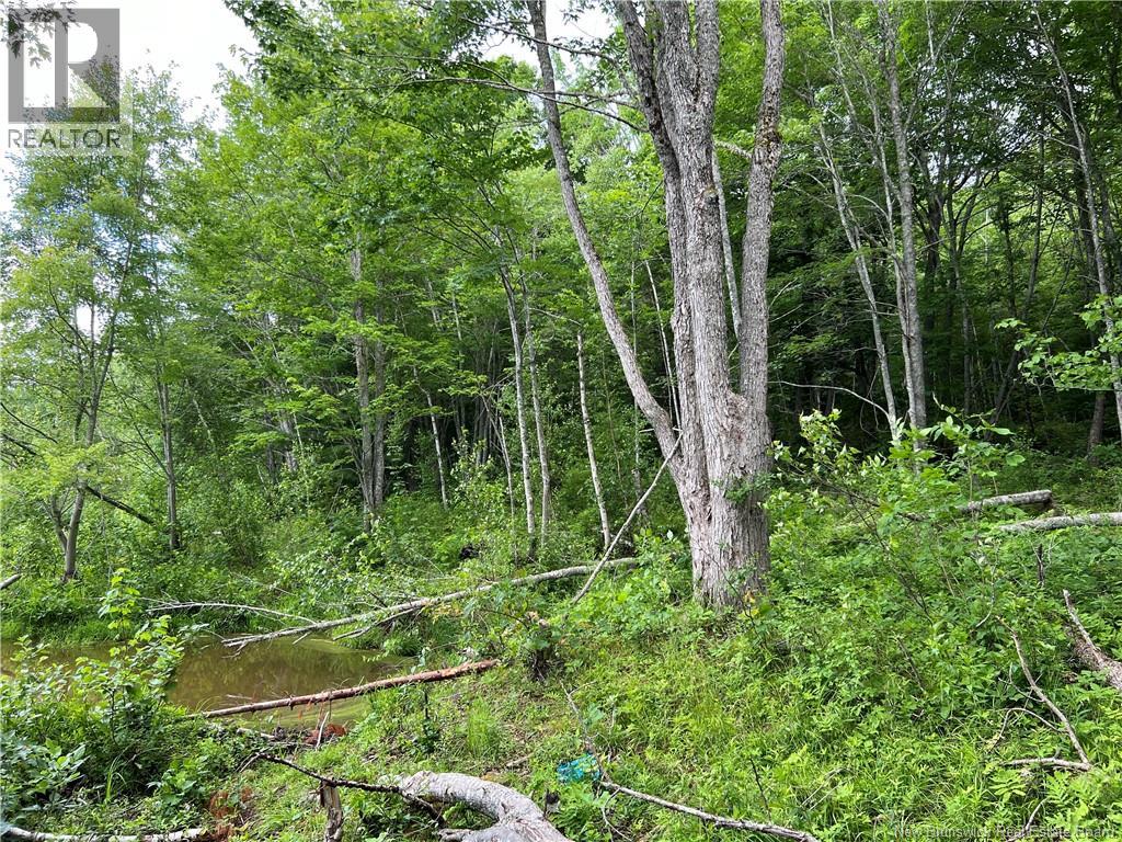 Vacant Lot Lakeview Road, Washademoak, New Brunswick  E4C 2L6 - Photo 31 - NB137767