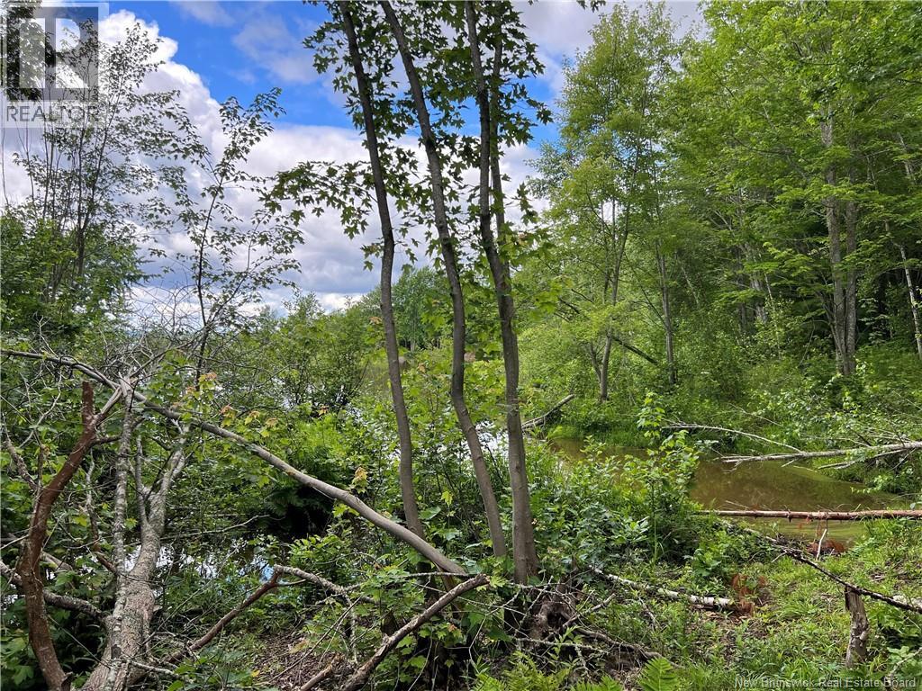 Vacant Lot Lakeview Road, Washademoak, New Brunswick  E4C 2L6 - Photo 32 - NB137767