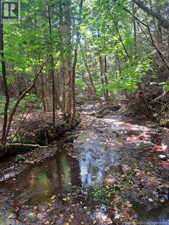 0 Mosher Hill Road, St. Martins, New Brunswick  E4E 5P5 - Photo 3 - NB138004