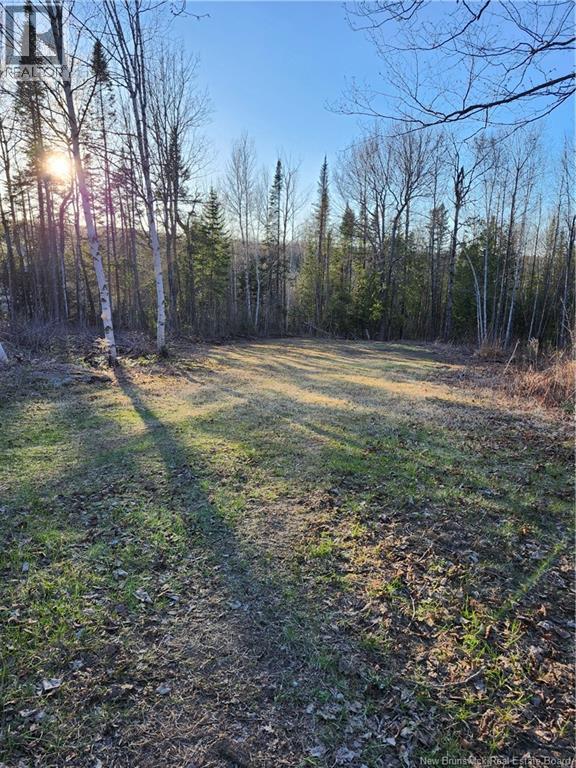 Lot 88-72 Willow Street, Beardsley, New Brunswick  E7M 4G3 - Photo 1 - NB138054