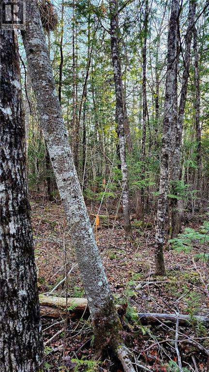 Lot 88-72 Willow Street, Beardsley, New Brunswick  E7M 4G3 - Photo 3 - NB138054