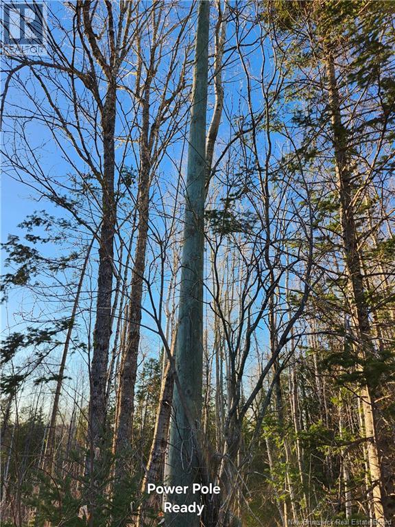 Lot 88-72 Willow Street, Beardsley, New Brunswick  E7M 4G3 - Photo 5 - NB138054
