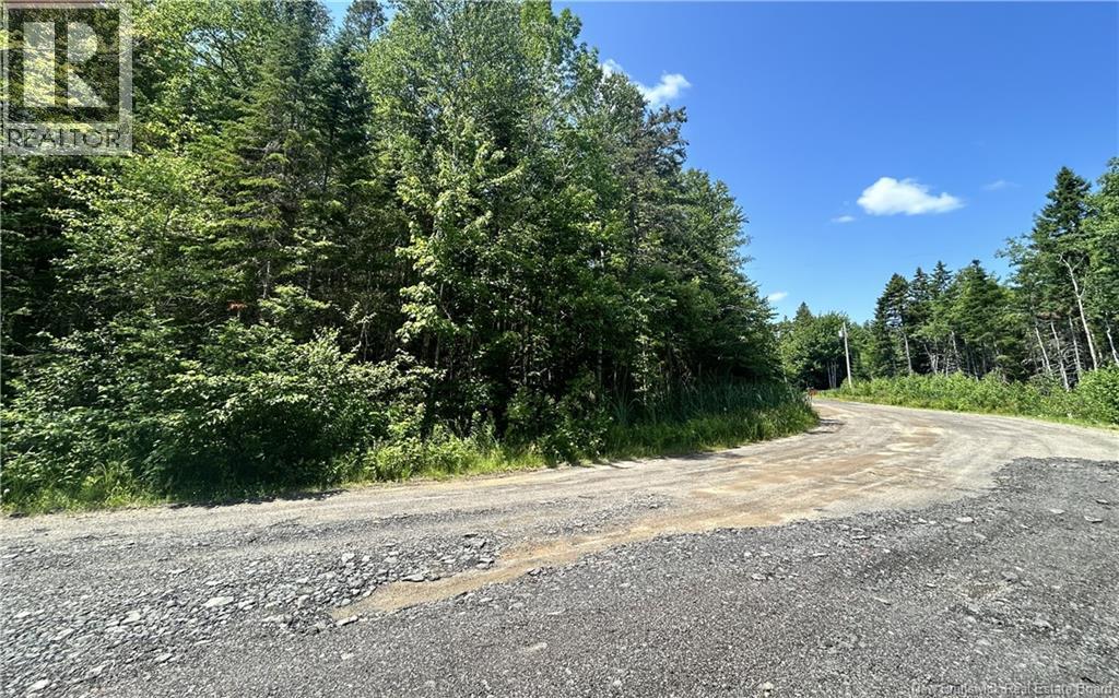 Lot David, Galloway, New Brunswick  E4W 2K7 - Photo 11 - NB138059