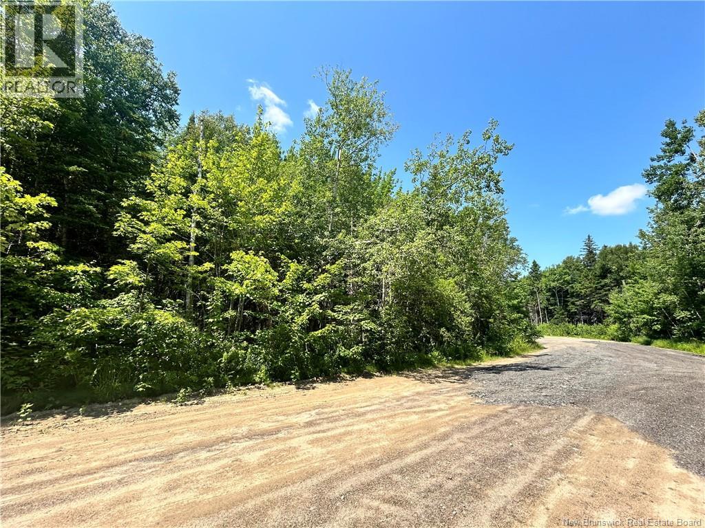 Lot David, Galloway, New Brunswick  E4W 2K7 - Photo 7 - NB138059