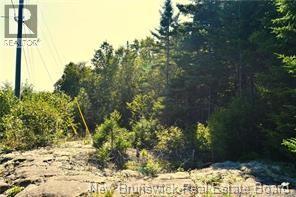 Lot 86-125 Fundy Drive, Wilsons Beach, New Brunswick  E5E 1X2 - Photo 2 - NB138082