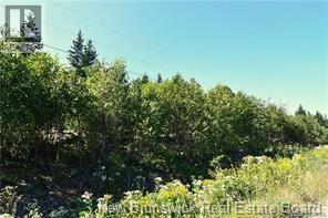 Lot 86-125 Fundy Drive, Wilsons Beach, New Brunswick  E5E 1X2 - Photo 3 - NB138082