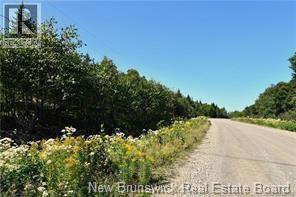 Lot 86-125 Fundy Drive, Wilsons Beach, New Brunswick  E5E 1X2 - Photo 4 - NB138082