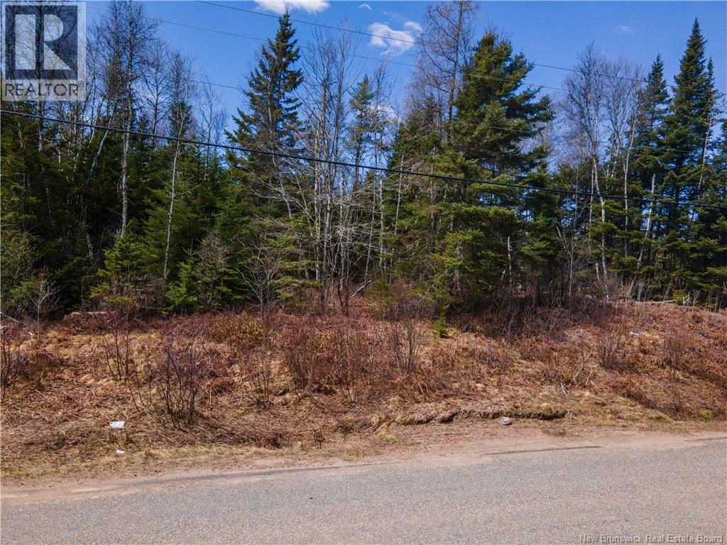 6105 Route 111, Poodiac, New Brunswick  E4E 3S9 - Photo 10 - NB138056