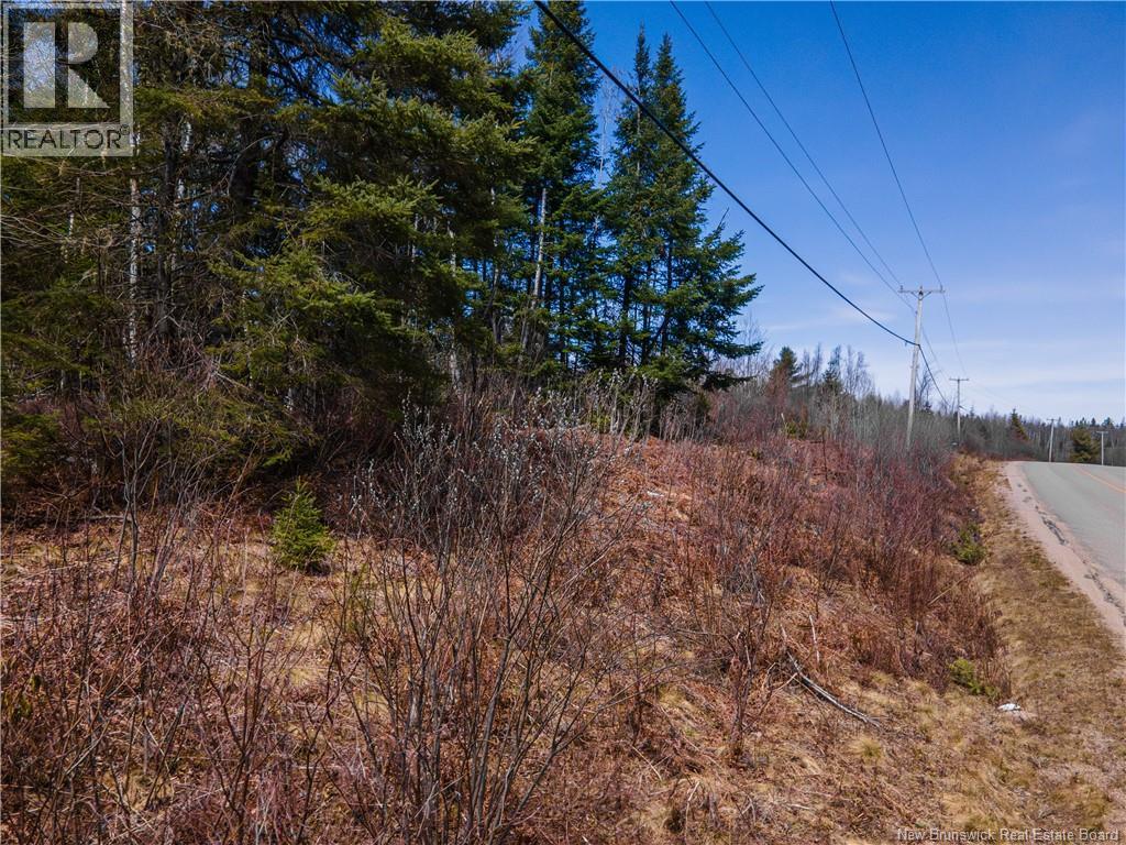 6105 Route 111, Poodiac, New Brunswick  E4E 3S9 - Photo 11 - NB138056