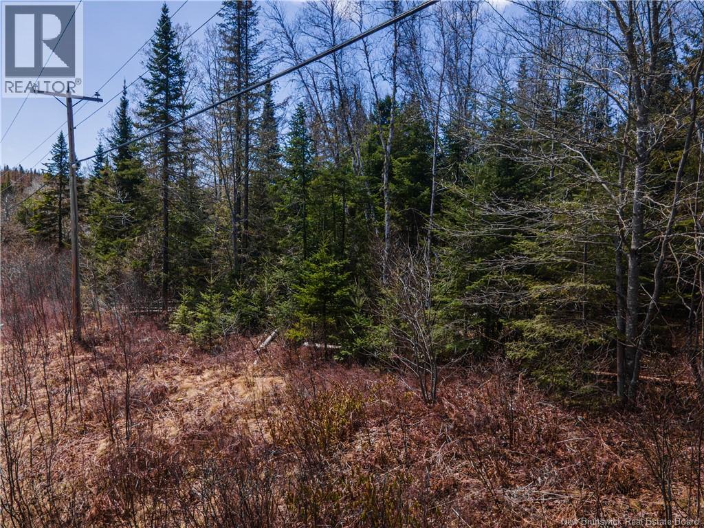 6105 Route 111, Poodiac, New Brunswick  E4E 3S9 - Photo 12 - NB138056
