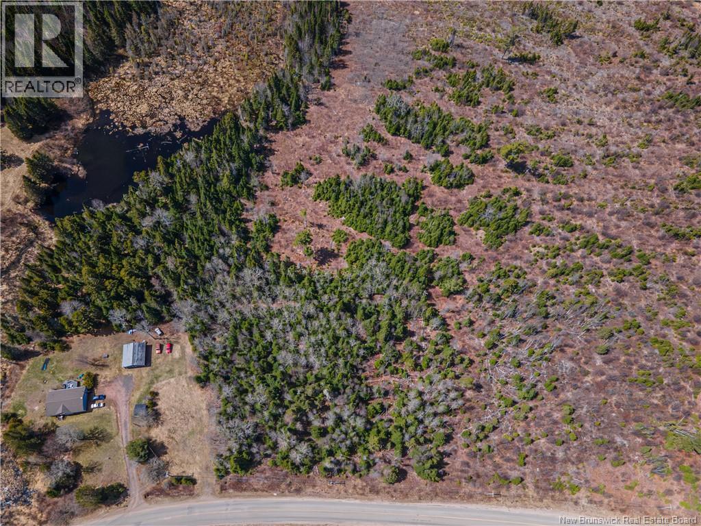 6105 Route 111, Poodiac, New Brunswick  E4E 3S9 - Photo 3 - NB138056