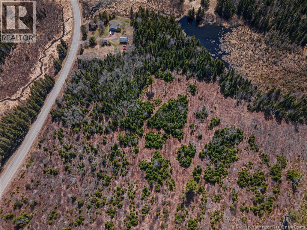 6105 Route 111, Poodiac, New Brunswick  E4E 3S9 - Photo 4 - NB138056