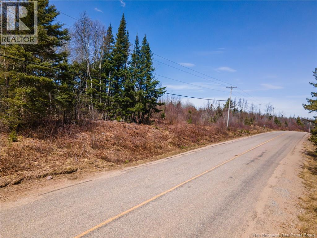 6105 Route 111, Poodiac, New Brunswick  E4E 3S9 - Photo 8 - NB138056