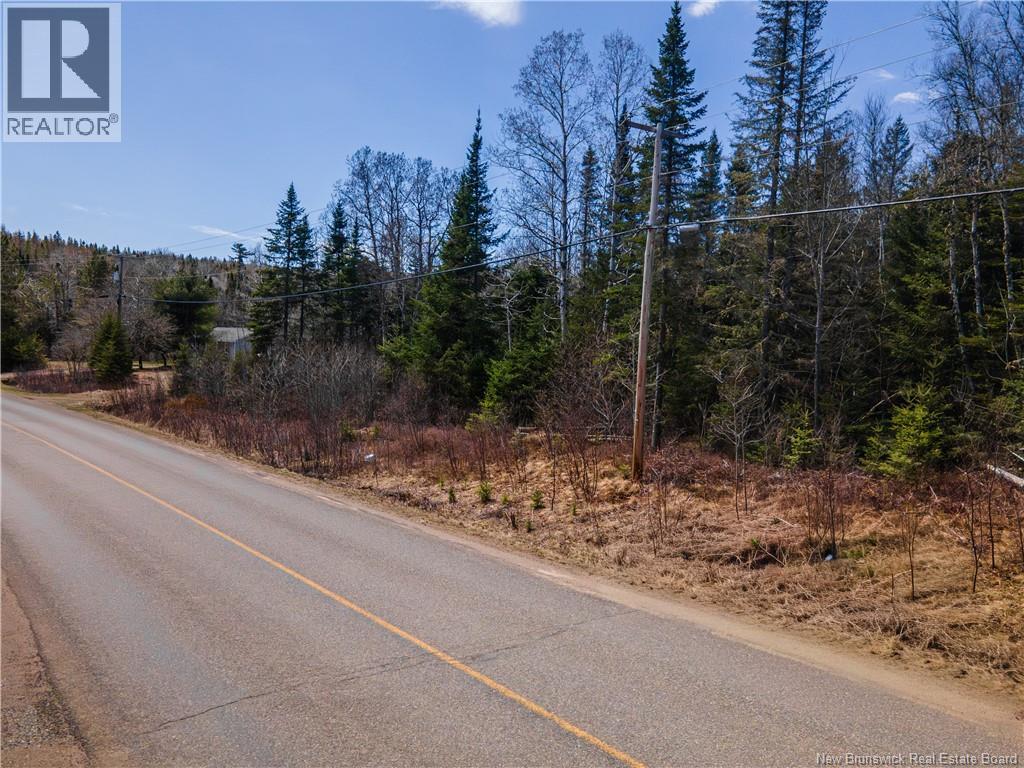6105 Route 111, Poodiac, New Brunswick  E4E 3S9 - Photo 9 - NB138056